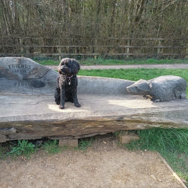 Valley Park photo 6