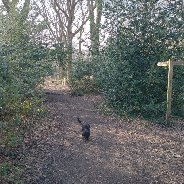 Valley Park photo 7