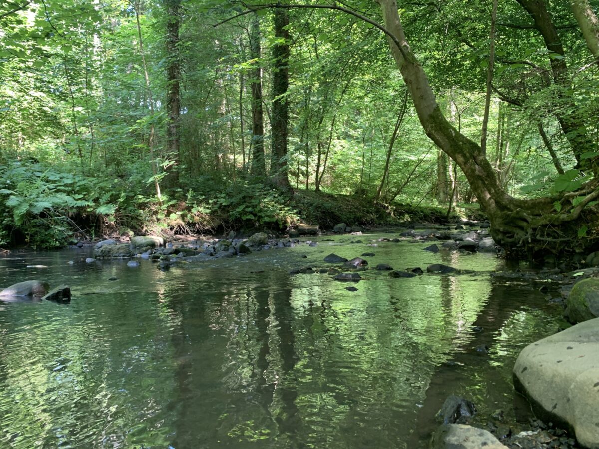 Valleyfield Woodland Park large photo 3