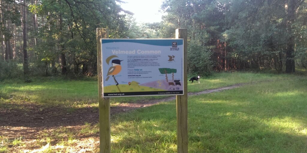 Dog walk at Velmead Common, Fleet · Hampshire · Walkiees
