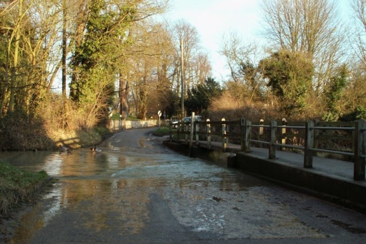 Dog walk at Walkern, 3 Mile · Hertfordshire · Walkiees