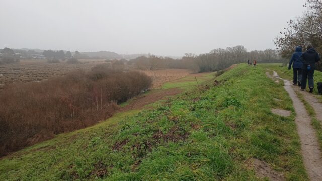 Dog walk at Wareham Harbour Walk