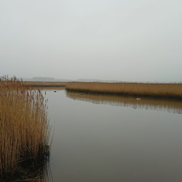Wareham Harbour Walk photo 2