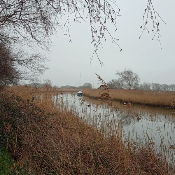 Wareham Harbour Walk photo 3