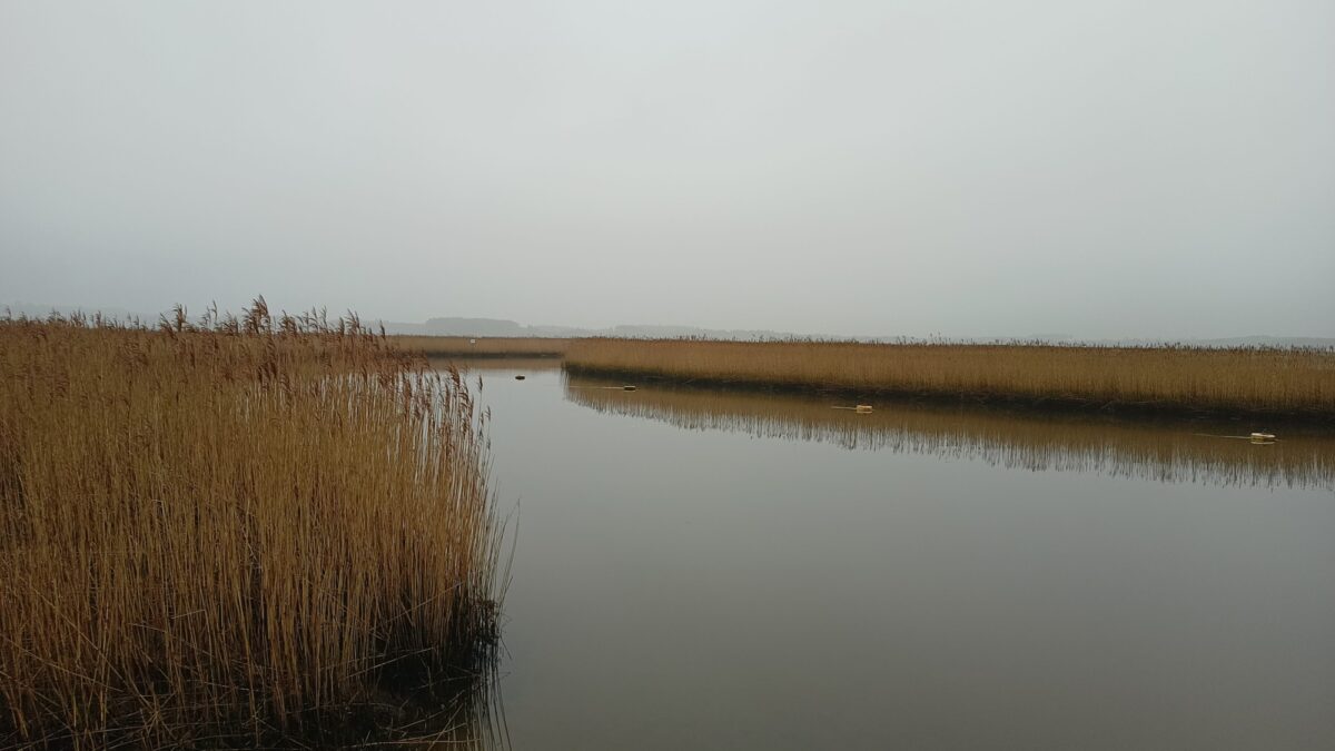 Wareham Harbour Walk large photo 2