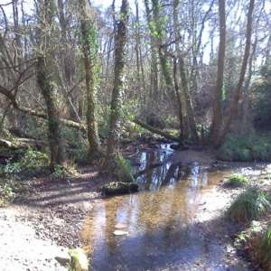 Warsash Common
