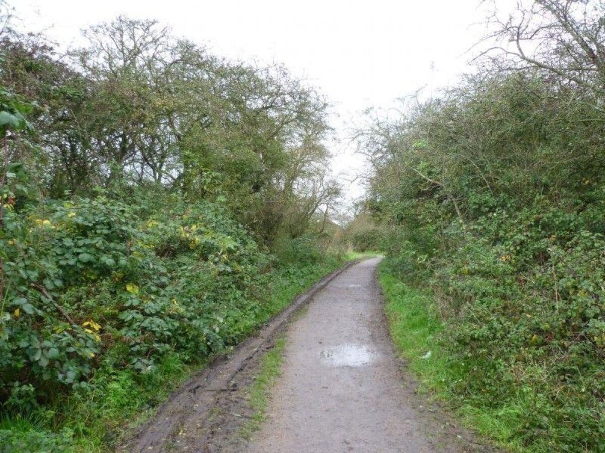 Wat Tyler Country Park large photo 2