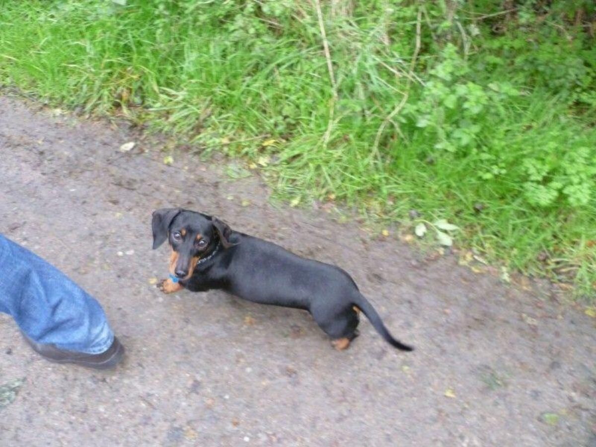 Wat Tyler Country Park large photo 3