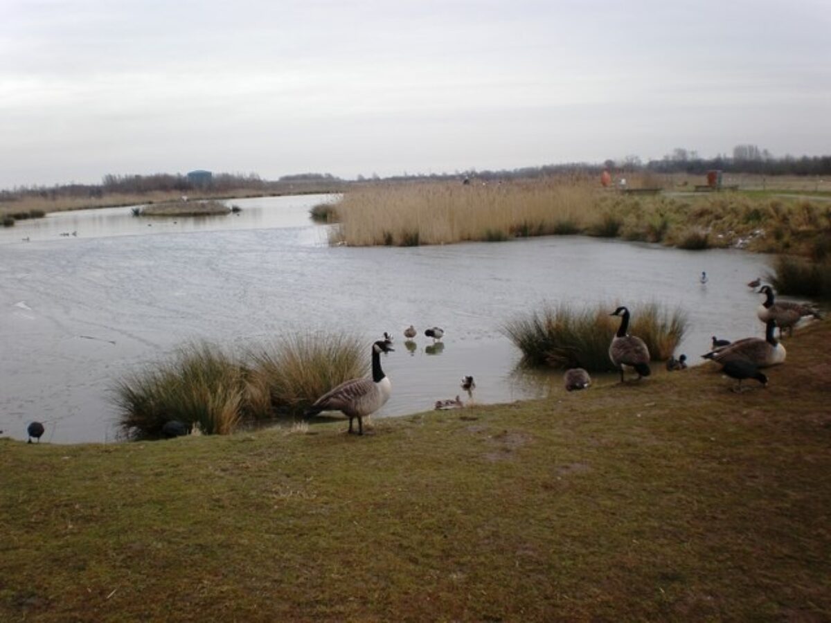 Waters Edge, Barton-upon-Humber large photo 2