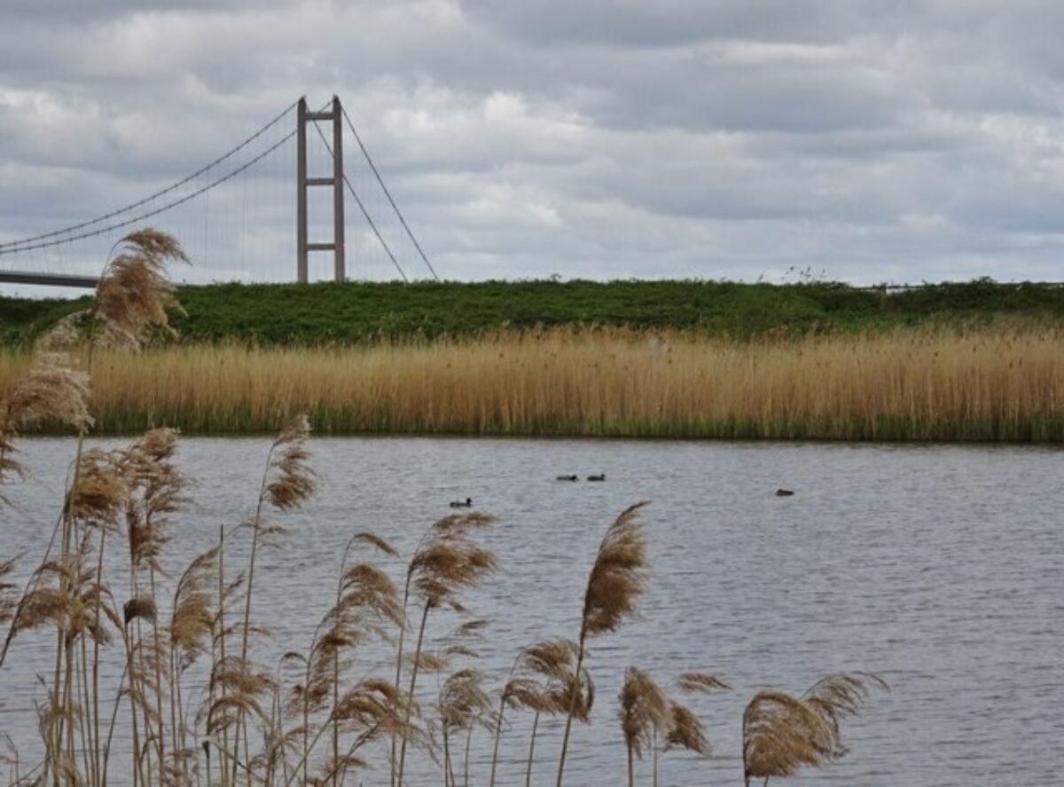 Waters Edge, Barton-upon-Humber large photo 3