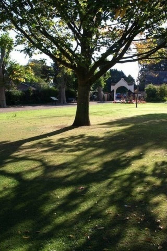 Dog walk at Wellington Park · Somerset · Walkiees