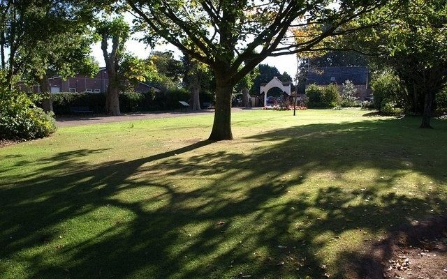 Wellington Park Dog walk in Somerset
