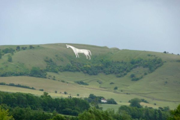 Westbury White Horsephoto