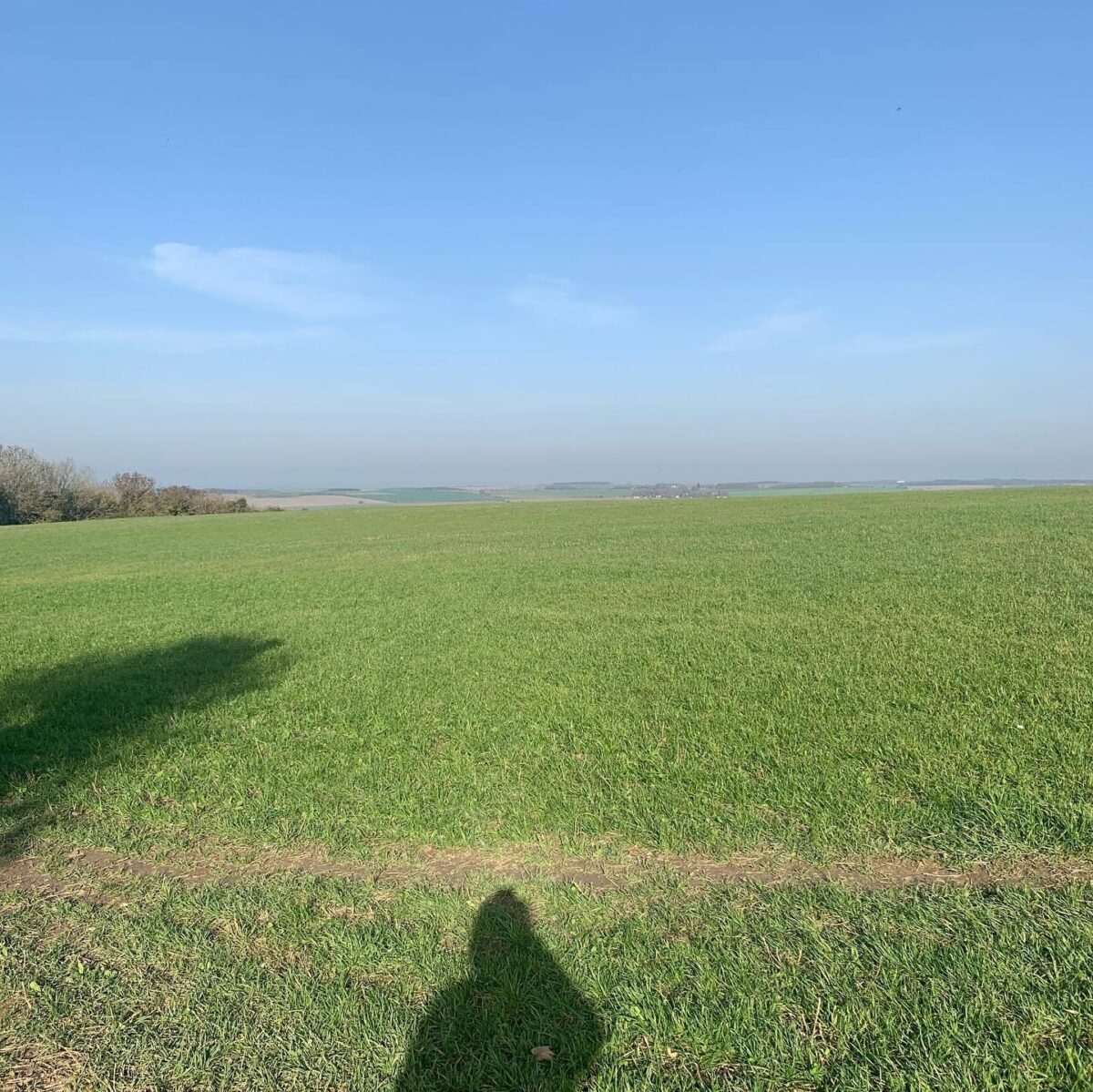 Weston Hills Nature Reserve large photo 1