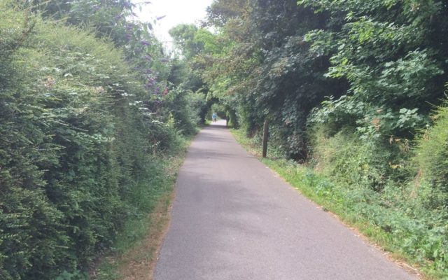 Weymouth To Portland Rodwell Trail Dog walk in Dorset