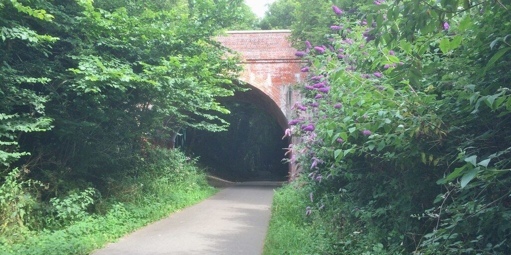 Dog walk at Weymouth To Portland Rodwell Trail · Dorset · Walkiees