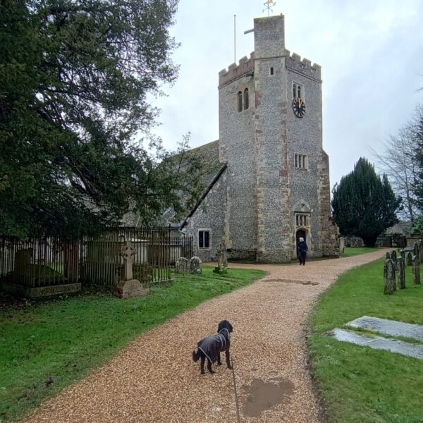 Wheely Down  Farm Lane to Denmead (Wayfarer's Walk) photo 2