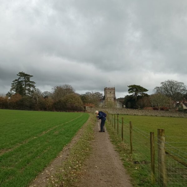 Wheely Down  Farm Lane to Denmead (Wayfarer's Walk) photo 5