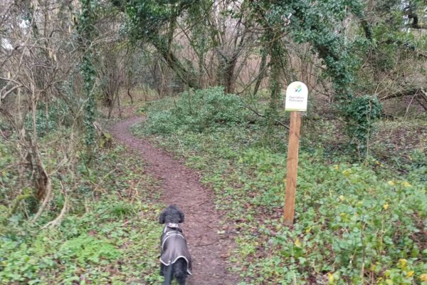 Wheely Down  Farm Lane to Denmead (Wayfarer's Walk)photo