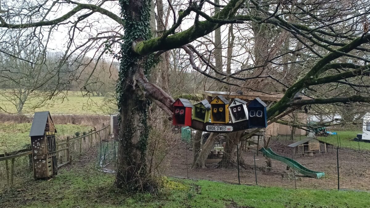 Wheely Down  Farm Lane to Denmead (Wayfarer's Walk) large photo 3
