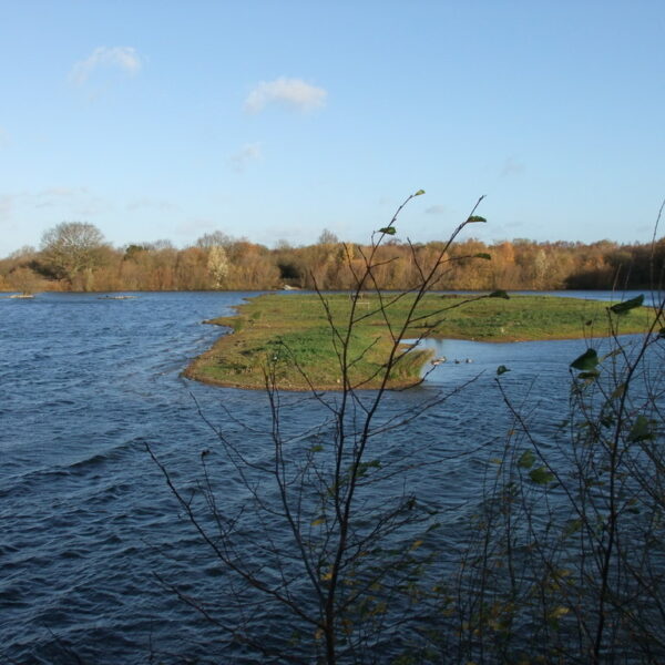 Whisby Nature Park, Lincoln photo 4