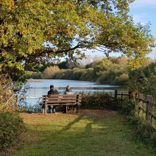 Whisby Nature Park, Lincoln photo 2