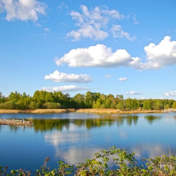 Whisby Nature Park, Lincoln photo 1