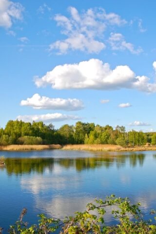 Dog walk at Whisby Nature Park, Lincoln photo