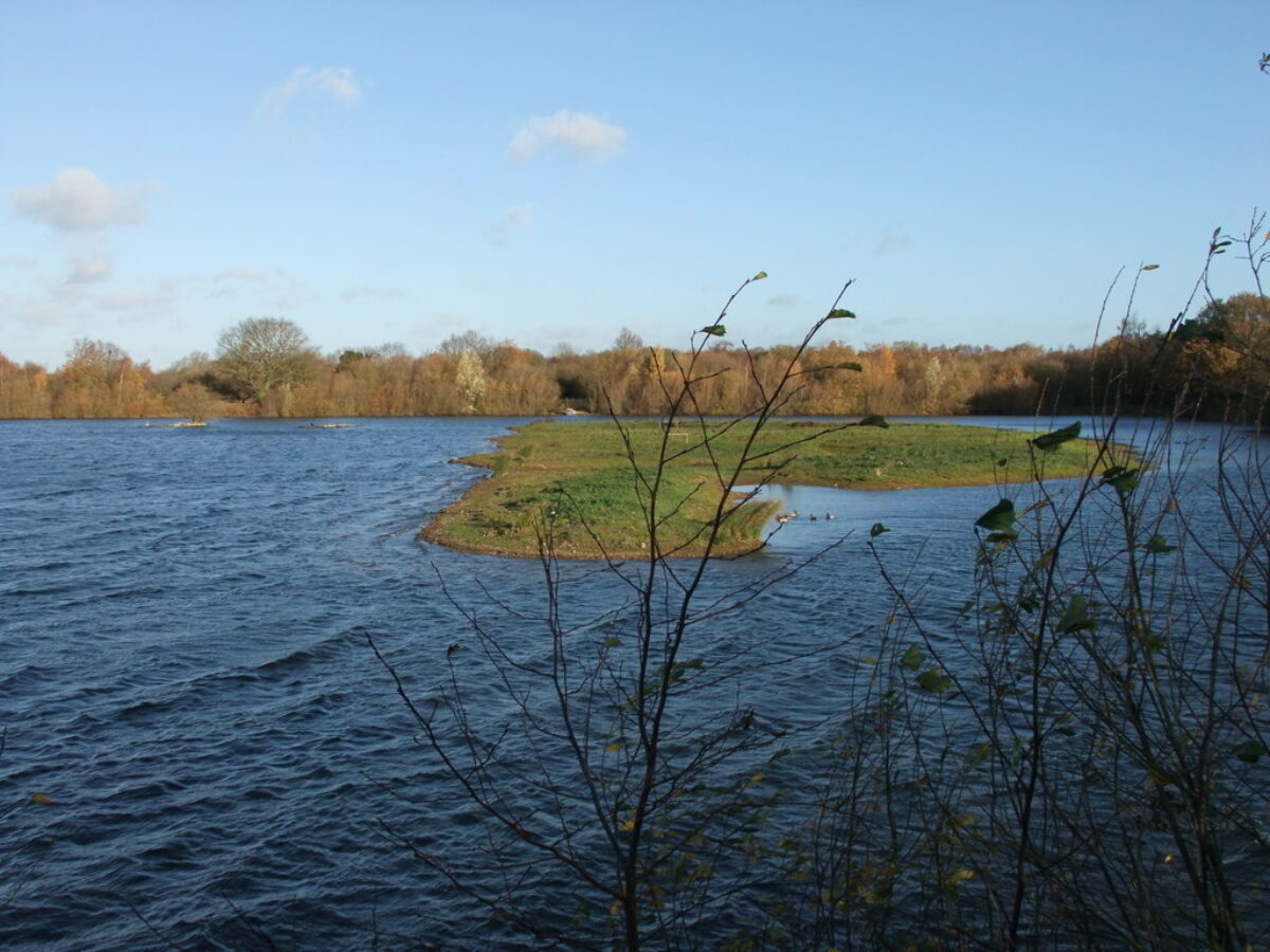 Whisby Nature Park, Lincoln large photo 4