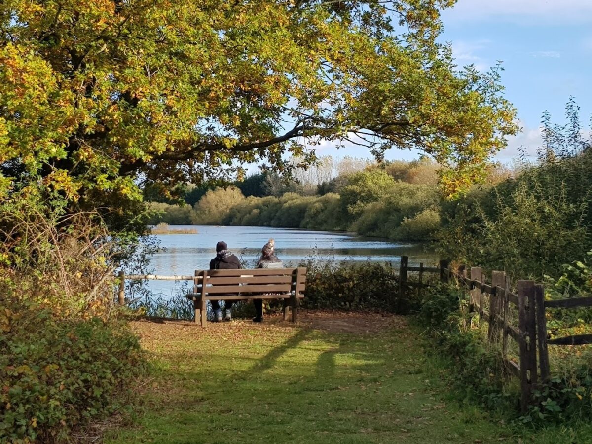 Whisby Nature Park, Lincoln large photo 2