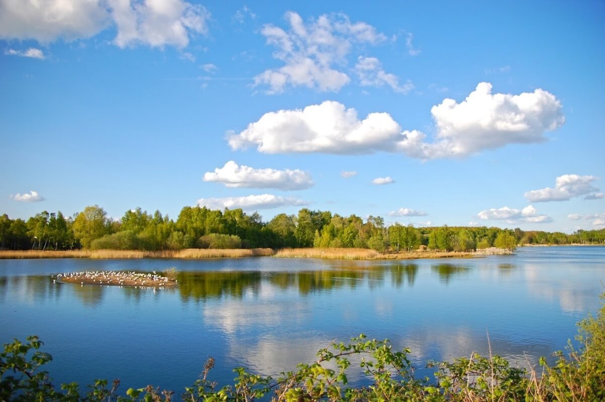Whisby Nature Park, Lincoln large photo 1