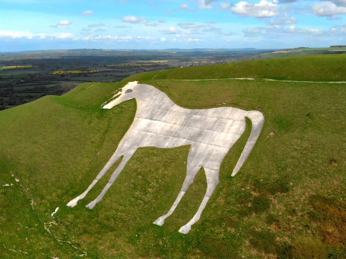 Dog walk at White Horse Park - Westbury · Wiltshire · Walkiees