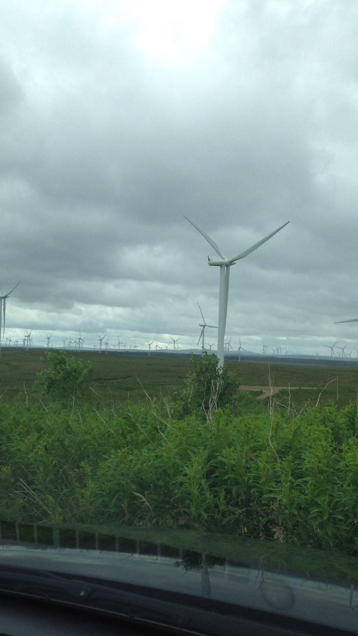 Whitelee Wind Farm large photo 1