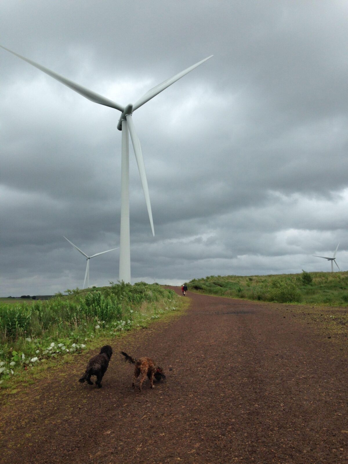 Whitelee Wind Farm large photo 3