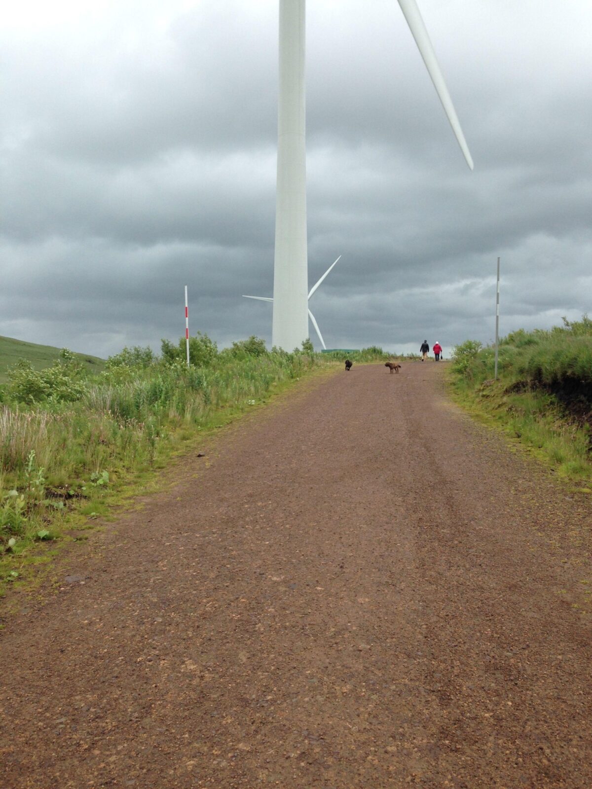 Whitelee Wind Farm large photo 4