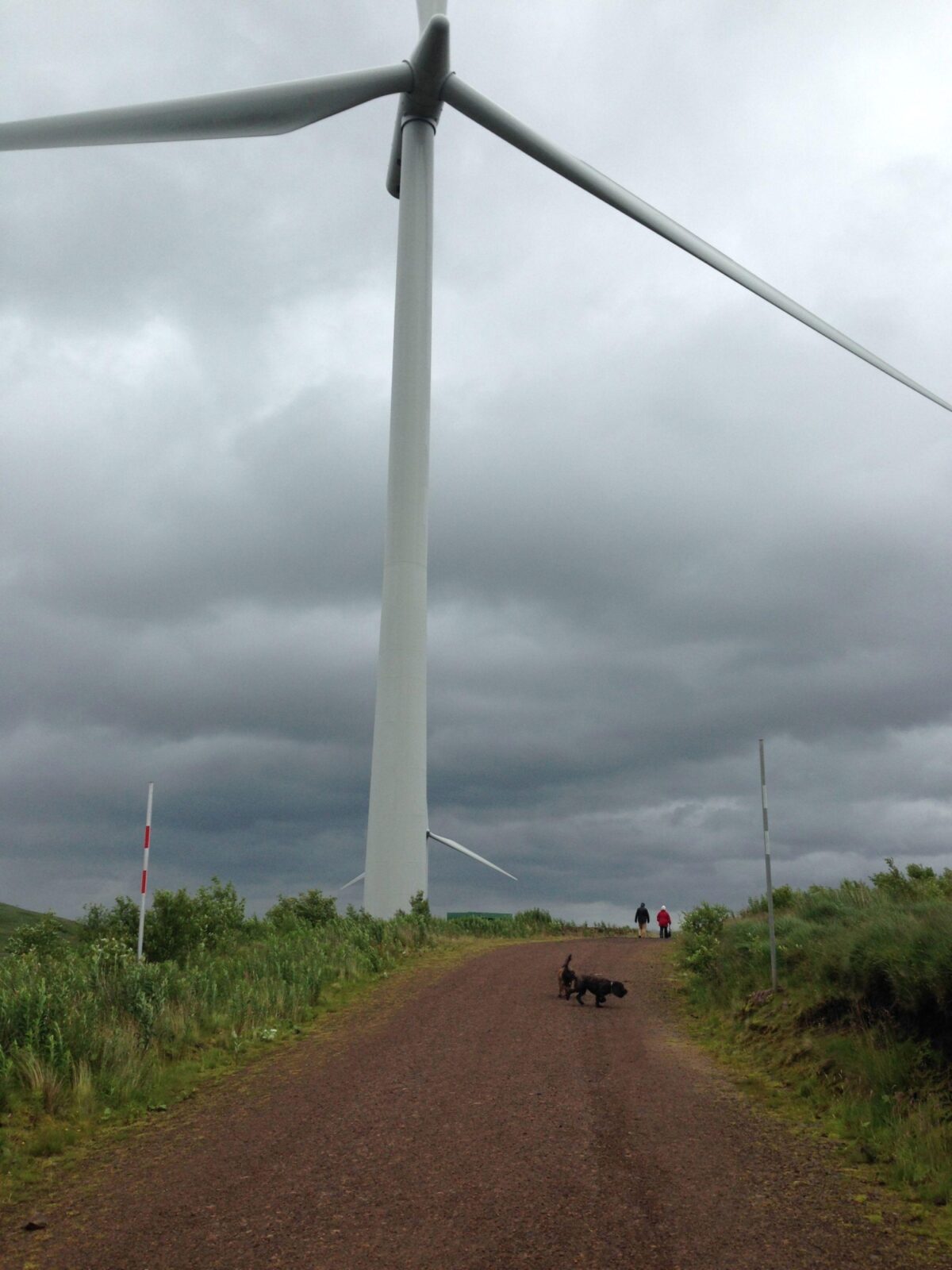 Whitelee Wind Farm large photo 5