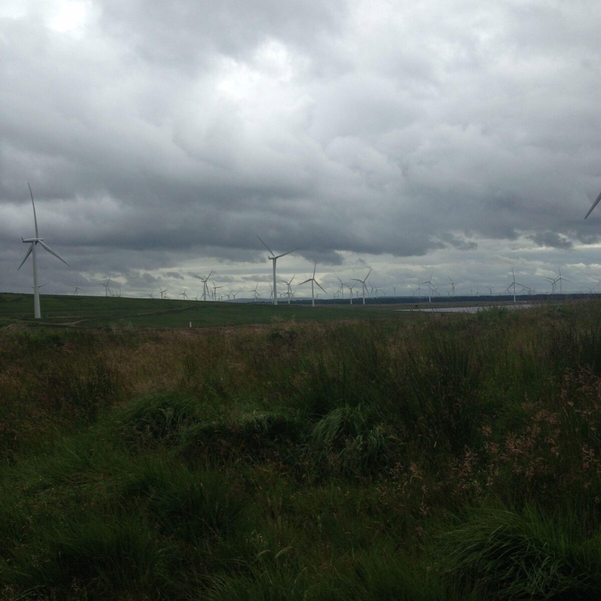 Whitelee Wind Farm large photo 9