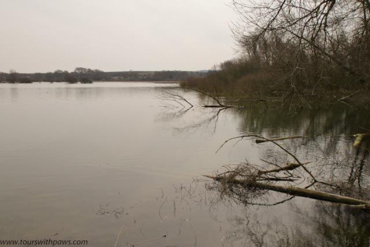 Wilstone Reservoir large photo 2