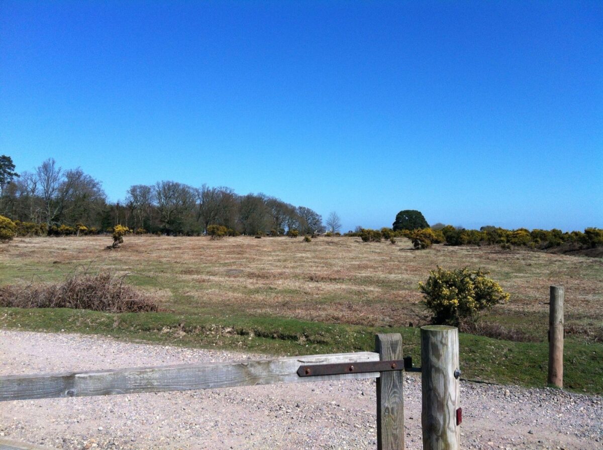 Wilverley Enclosure And Wilverley Plain large photo 15