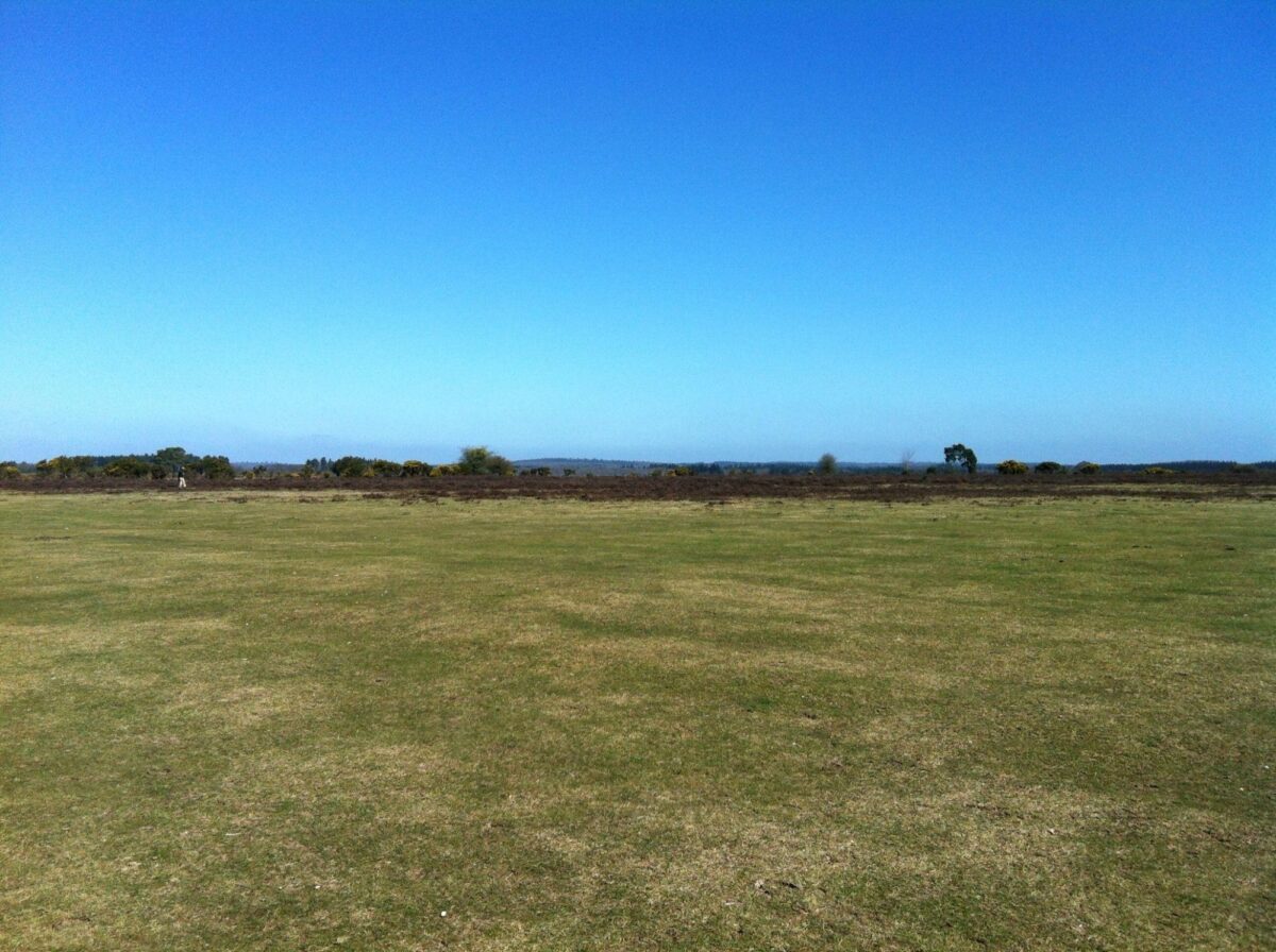 Wilverley Enclosure And Wilverley Plain large photo 4