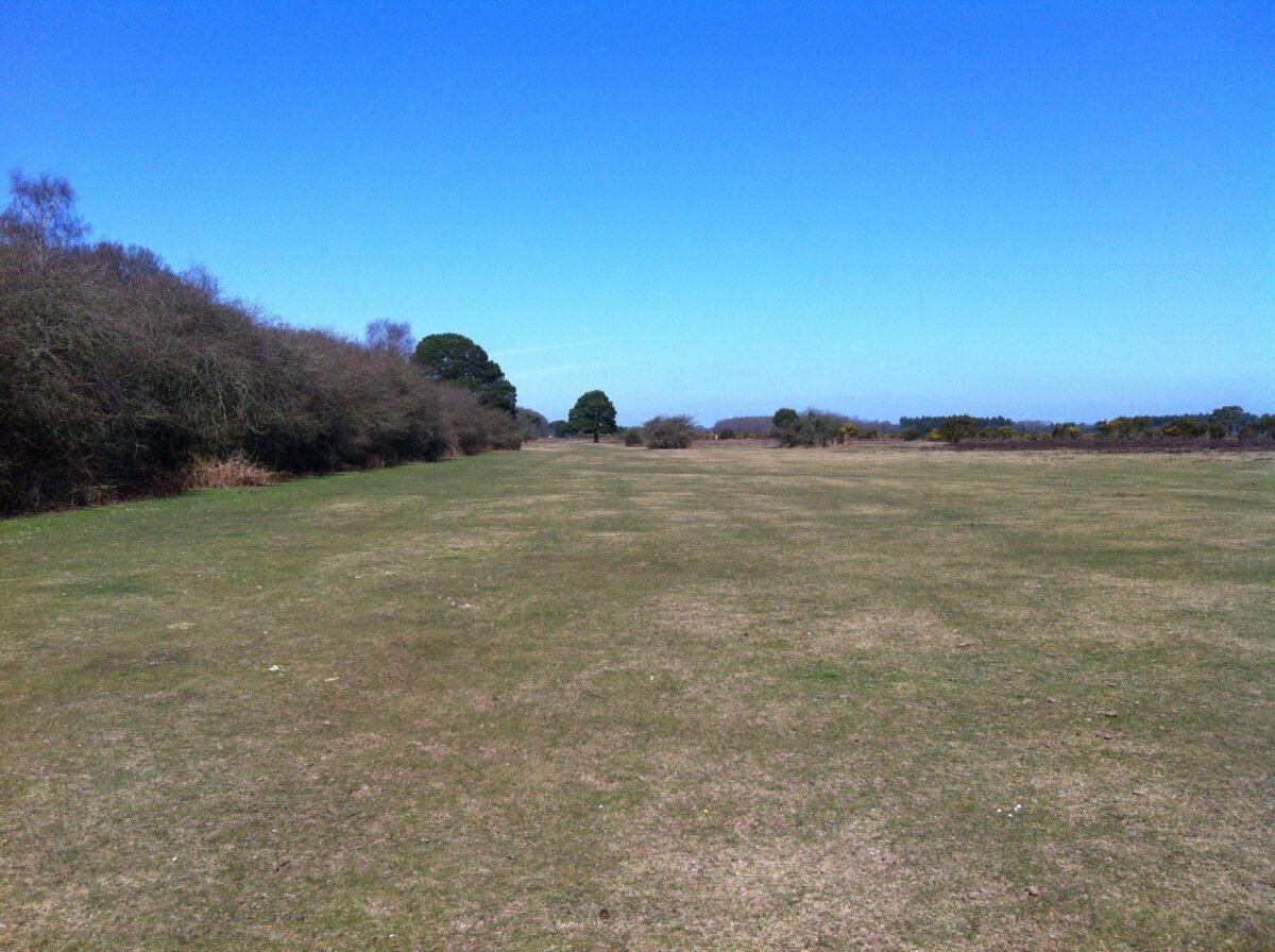 Wilverley Enclosure And Wilverley Plain large photo 5