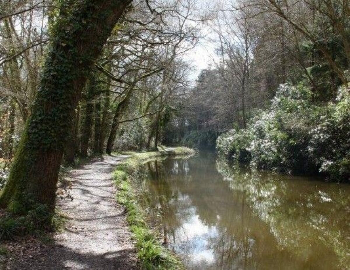 Winchfield To Tundry Pond large photo 3