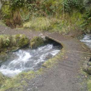 Woodhill Wood, Alva