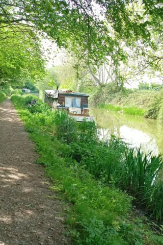 Dog walk at Wootton Rivers Lock photo