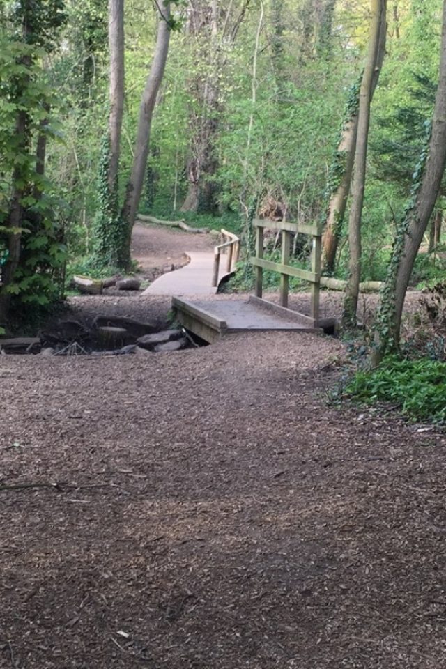 Dog walk at Wymondley Wood · Hertfordshire · Walkiees