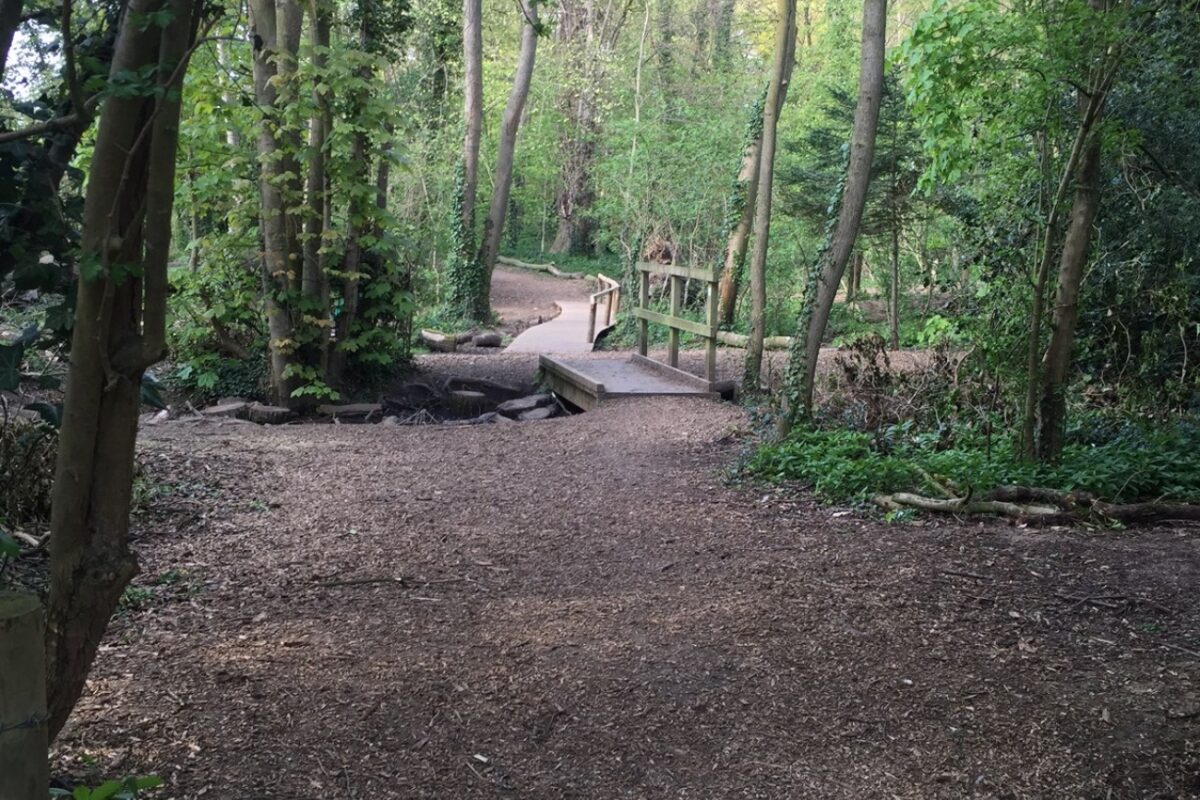 Wymondley Wood large photo 1