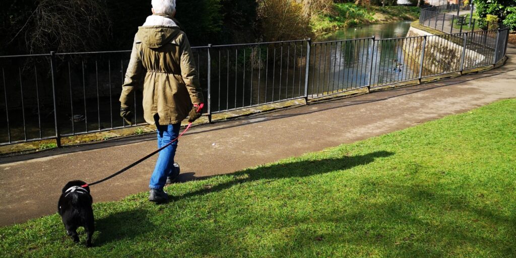 Dog walk at Wyndham and Queen Elizabeth Parks · Lincolnshire · Walkiees