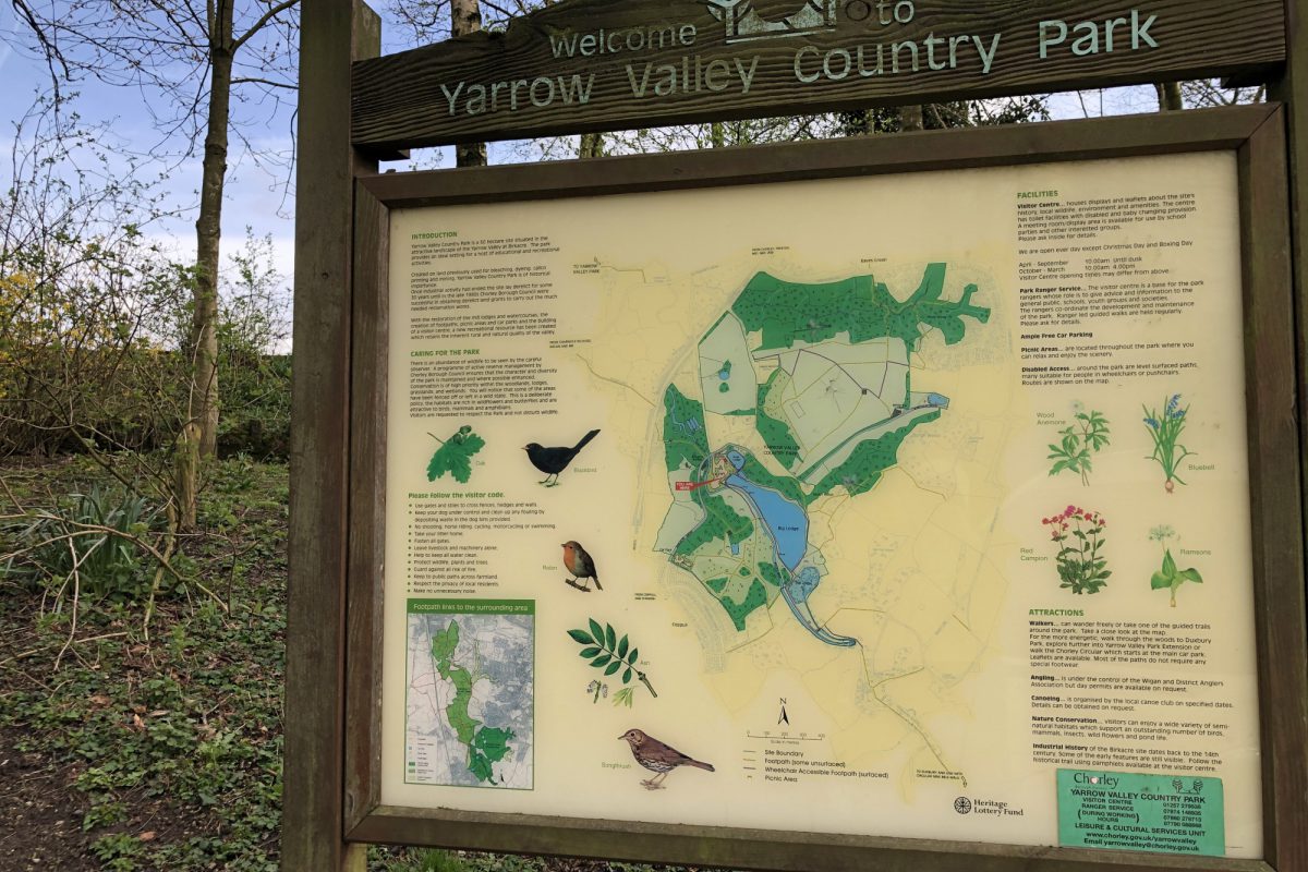 Dog walk at Yarrow Valley Country Park · Lancashire · Walkiees