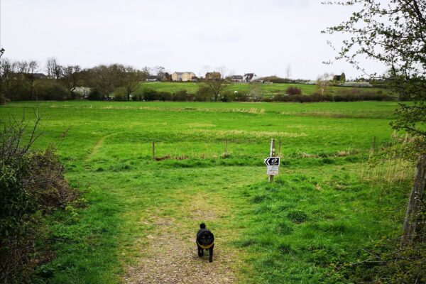 Yarwell Mill and Nene Valleyphoto